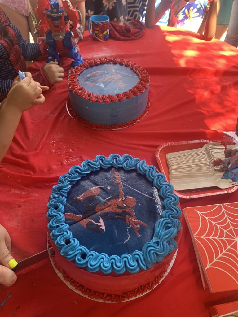 spiderman birthday cakes johannesburg